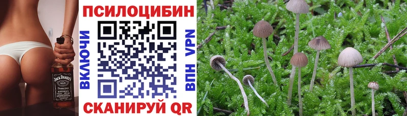 Псилоцибиновые грибы Psilocybine cubensis Ипатово
